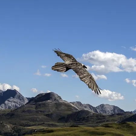 Spoel Restaurant * زيرنيز