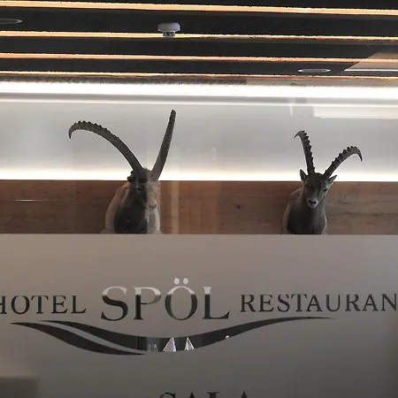 Spoel Restaurant فندق