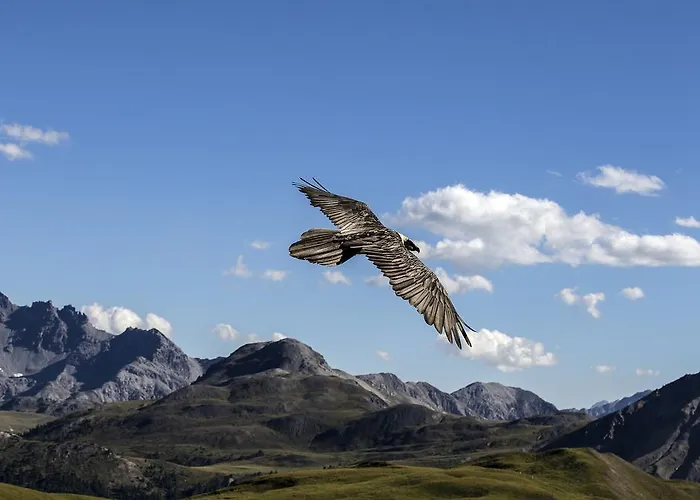 Spöl Restaurant * Zernez