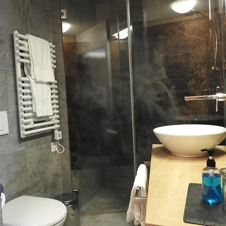 Spoel Restaurant 酒店 策尔内茨